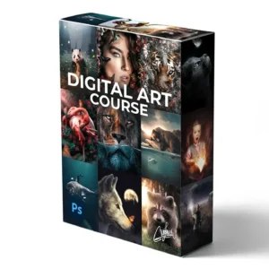 Digital Art Course