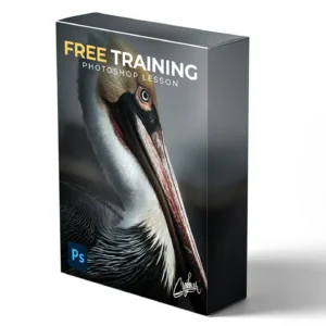 Free Training