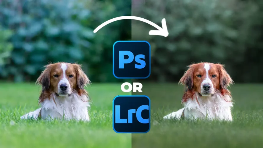 Cinematic Color Grading From Scratch (Photoshop or Lightroom)
